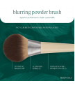 Pulvera Ota Blurring Powder